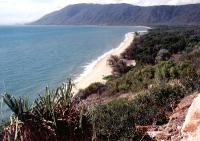 Queensland Coast 1001